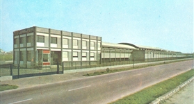 1967: Fondazione del Pastificio